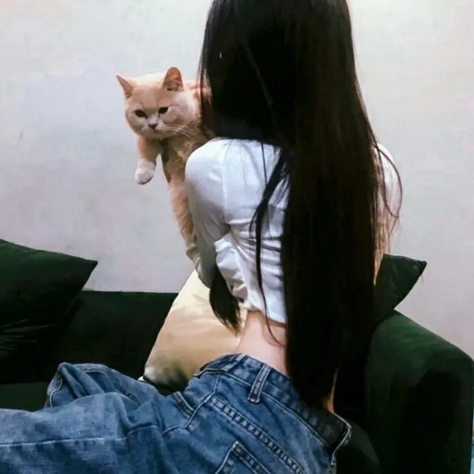 不完美的正义